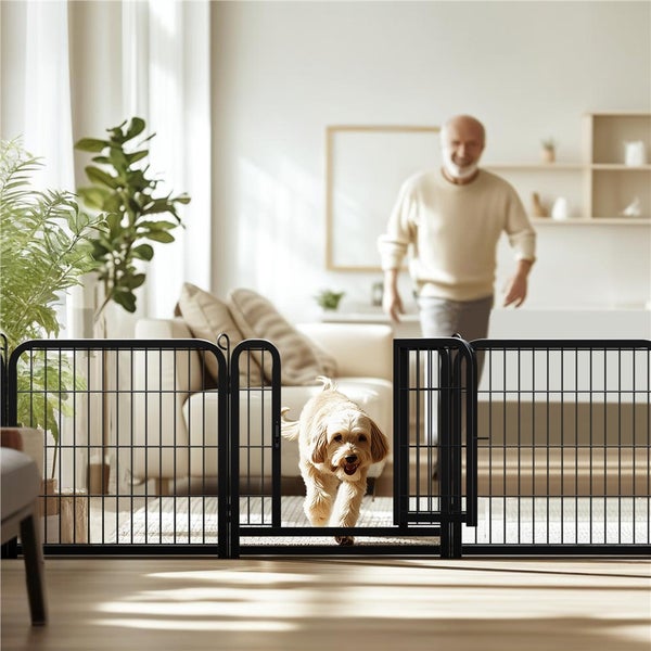 Hund geht durch ein schwarzes Metallgitter in einem hellen Wohnzimmer