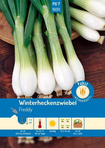 Samen für Winterheckenzwiebel Freddy, Abbildung frischer Lauchzwiebeln mit Knollen und Stielen, Anbauinformationen und Pabst Logo.
