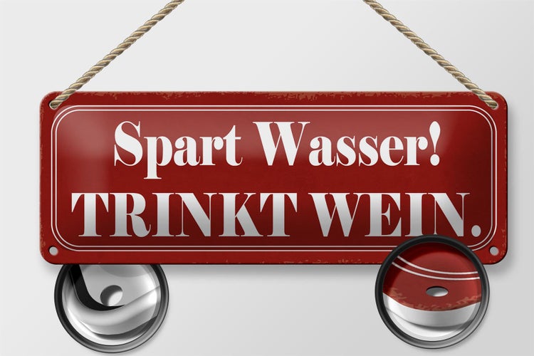 Blechschild Spruch 27x10cm spart Wasser trinkt Wein rotes Schild