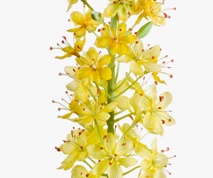 Künstlicher Rittersporn mit blauen Blüten und grünen Knospen.