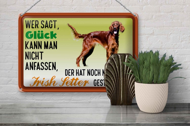 Blechschild Spruch 30x20cm Glück Irish Setter Hund