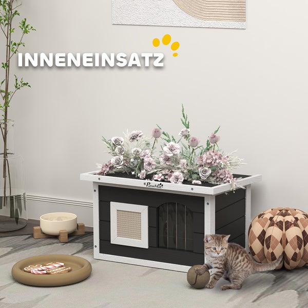 Katze mit Innengehege und Dekoration