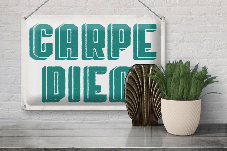 Blechschild Spruch 30x20cm carpe diem nutze den Tag