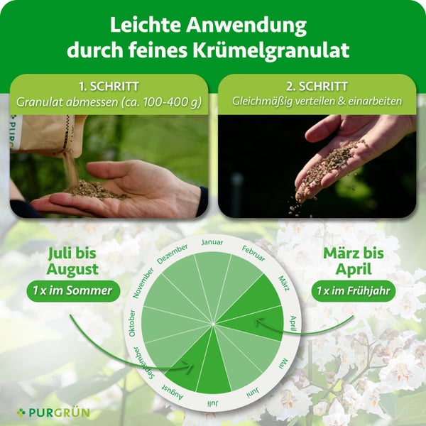 Anwendungshinweise für Purgrün Pflanzendünger in Granulatform mit Dosierung und saisonalem Düngeplan für Frühjahr und Sommer.