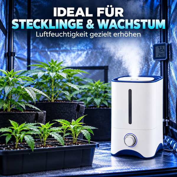 Luftbefeuchter in einem Pflanzzelt mit Jungpflanzen und Stecklingen zur Erhöhung der Luftfeuchtigkeit für optimales Wachstum.