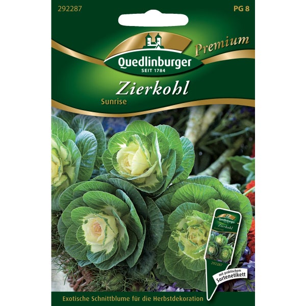 Zierkohl Sunrise Samen von Quedlinburger SAATGUT