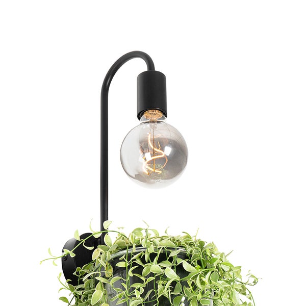 Schwarze Hängeleuchte mit Glühbirne und Pflanze