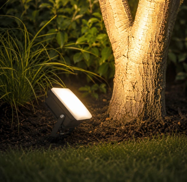 LED Strahler zur Gartenbeleuchtung beleuchtet einen Baumstamm im Garten bei Nacht.