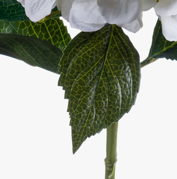 Nahaufnahme einer künstlichen Hortensie mit grünen Blättern und weißen Blütenblättern.