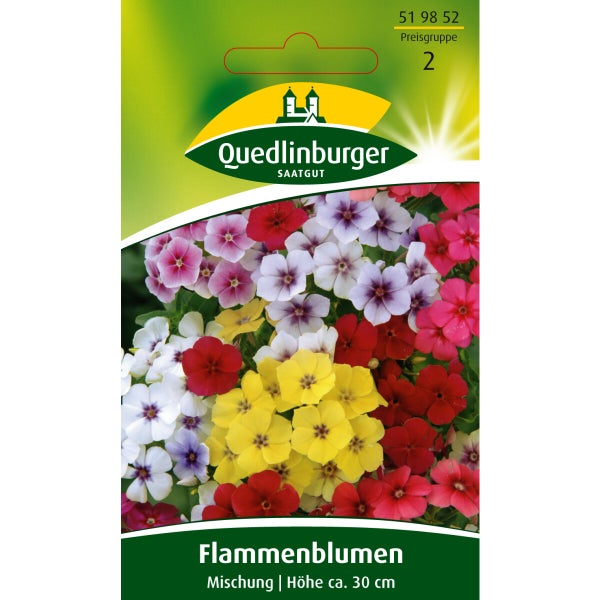 Flammenblume Phlox Mischung Samen von Quedlinburger SAATGUT