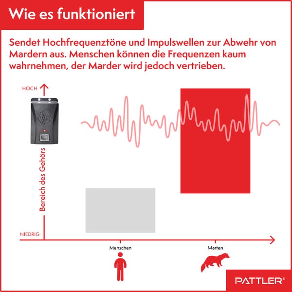 PATTLER® Marderschreck Auto batteriebetrieben für ca. 40m² - mit Ultraschall und Anti Gewöhnungseffekt | Mobiler Marderschutz mit Batteriebetrieb | Marderabwehr , Haus, Garage, Dachboden, Garten