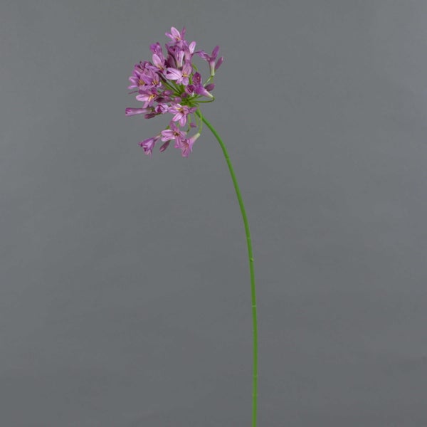 Künstliche Schmucklilie Agapanthus mit violetten Blüten und gelben Staubgefäßen.
