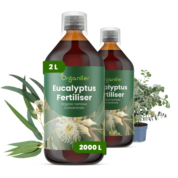 Organifer Eukalyptus Dünger, organisches Düngerkonzentrat, 2 Liter Flasche für circa 2000 Liter Gießwasser.