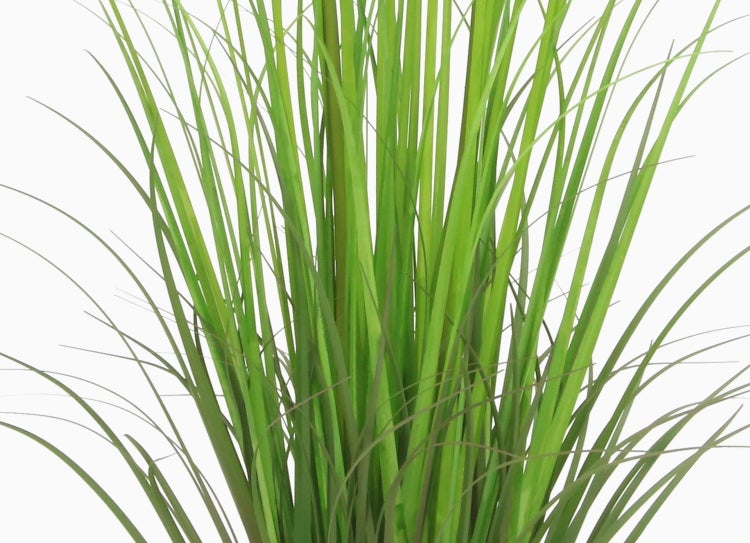 Künstliche Graspflanze in schwarzem Topf