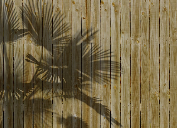 Holzzaun aus vertikalen Latten mit sichtbarer Maserung und Astlöchern, Schatten von Palmblättern auf der Oberfläche.