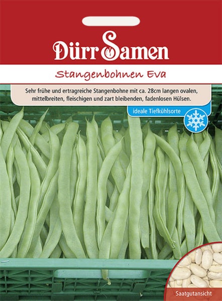 Samenpackung Stangenbohnen Eva von Dürr Samen. Abbildung von Hülsen und Saatgutansicht. Dürr Samen Logo. Geeignet zum Einfrieren.
