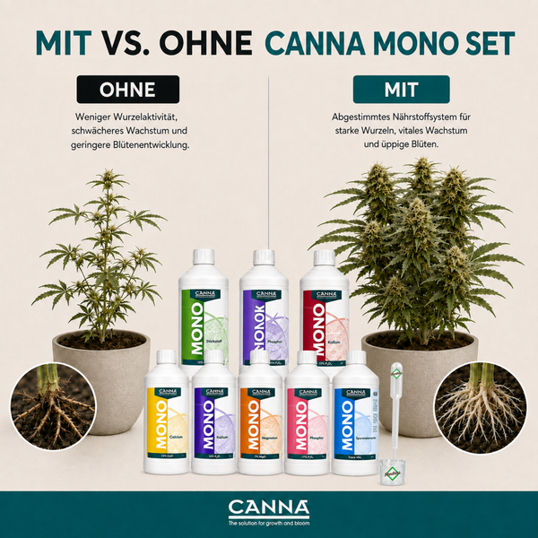 Vergleichsgrafik Canna Mono Set für Pflanzenwachstum mit abgebildeten Canna Pflanzendünger Flaschen und Pflanzenvergleich mit Wurzelansicht.