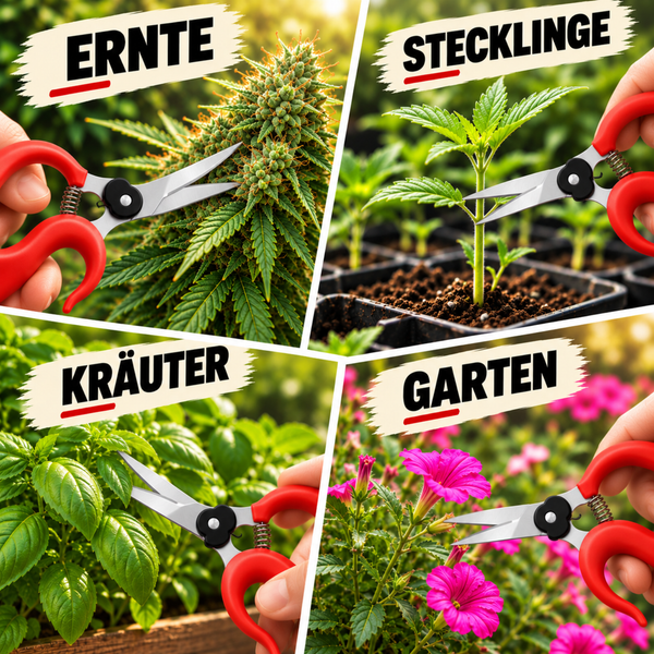 Vierteilige Collage einer Pflanzenschere beim Schneiden von Ernte, Stecklingen, Kräutern und Gartenblumen.