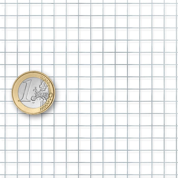 FLOORDIREKT Drahtgitter - Wühlmausgitter - Verzinkt - Maschenweite: 6,3 mm - 1 x 10 m