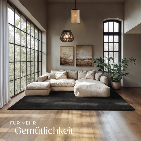 Wohnzimmer mit großem Sofa, Teppich, Zimmerpflanze und Hängelampen