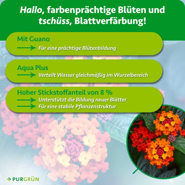Eine Frau pflegt ihre Pflanzen im Garten mit dem Purgrün Wandelröschen Dünger der in Deutschland von Experten entwickelt wurde.