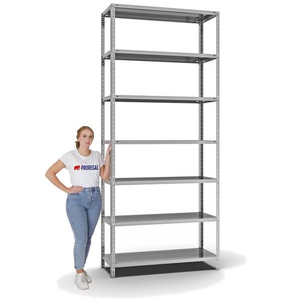 PROREGAL Fachbodenregal Schraubsystem Heavy-Duty Grundregal HxBxT 300 x 130 x 50 cm 7 Ebenen Fachlast 350 kg Beidseitig Nutzbar Verzinkt