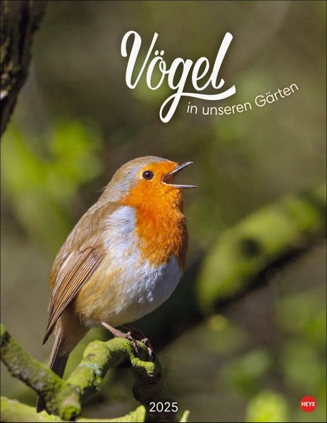 Vögel in unseren Gärten Posterkalender 2025 Viele Fotos und informative Texte zu 12 Vogelarten in einem faszinierenden Wandkalender. Dekorativer Kalender mit Mehrwert für Tierfreunde.