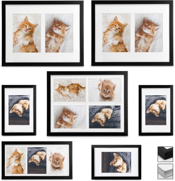Set mit schwarzen Bilderrahmen in verschiedenen Formaten mit Passepartout für Fotocollagen inklusive Katzenfotos.