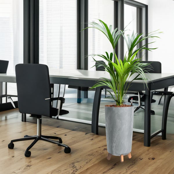 Büroszene mit Zimmerpflanze in grauem Pflanzgefäß auf Holzfüßen.