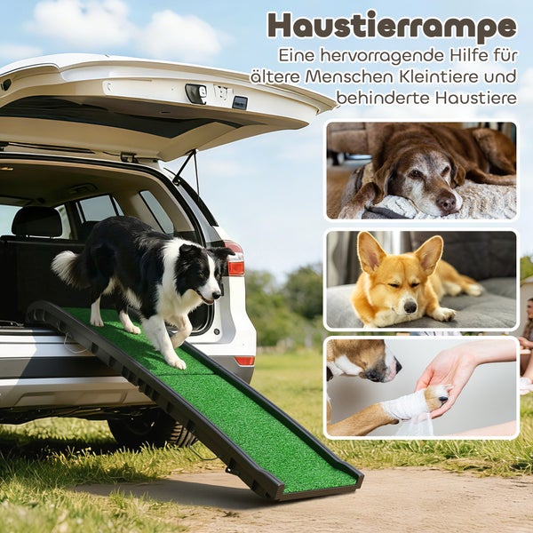 Hund auf einer Haustierrampe mit grünem Kunstrasen am Auto; Zusatzbilder zeigen einen alten Hund, einen Corgi und eine verbundene Pfote.