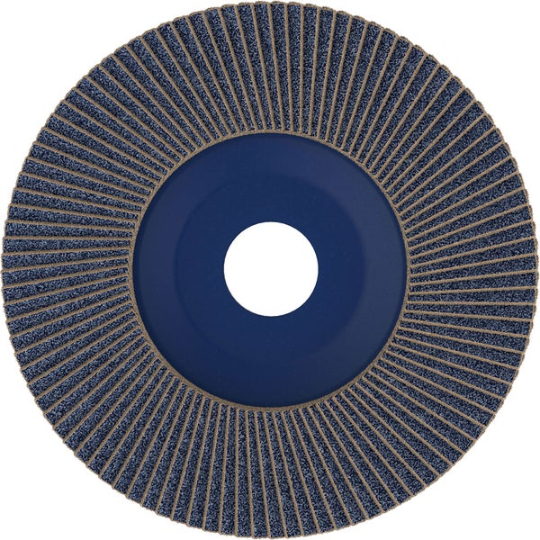 Schleiffächerscheibe