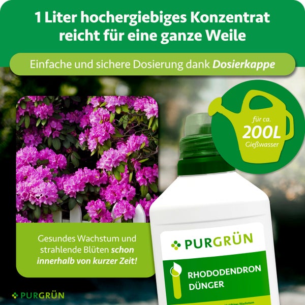 1 Liter Purgrün Rhododendron-Dünger Konzentrat für circa 200 Liter Gießwasser mit Dosierkappe für gesundes Wachstum. Purgrün Logo.