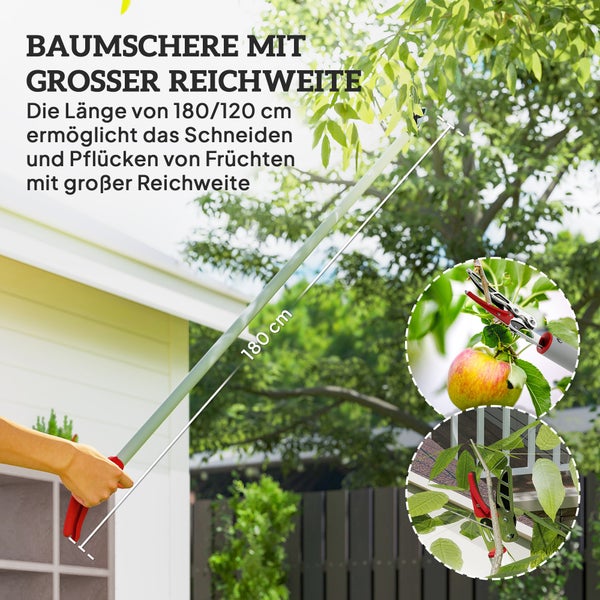 Baumschere mit großer Reichweite im Einsatz beim Schneiden von Ästen und Pflücken von Früchten.