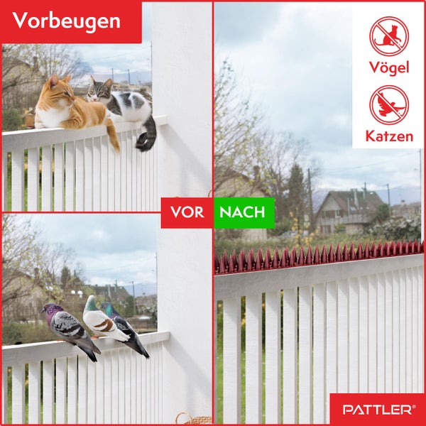 PATTLER® Vogelabwehr aus Robustem Kunststoff | Taubenabwehr für Balkon, Dach, Fensterbank, Zaun | Vogelabwehr & Taubenschreck | Taubenabwehr Spikes - 6 STÜCK x 43cm (Gesamtlänge 2.58 Meter)