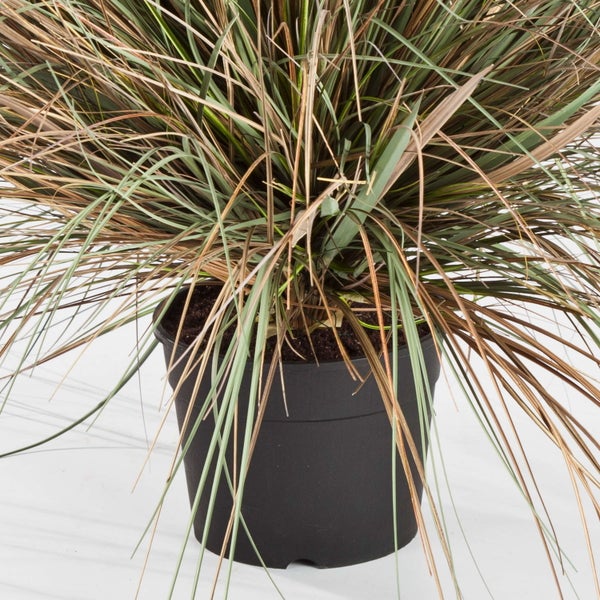 Künstlicher Zweig mit einer rosa Hibiskusblüte und einer Knospe an grünen Stielen.