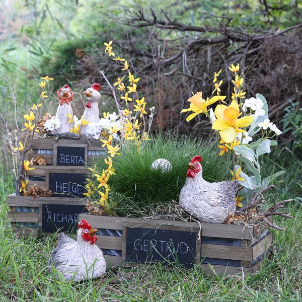 Dekorative Gartenszene mit Hühnerfiguren in Holzkisten und Blumenschmuck