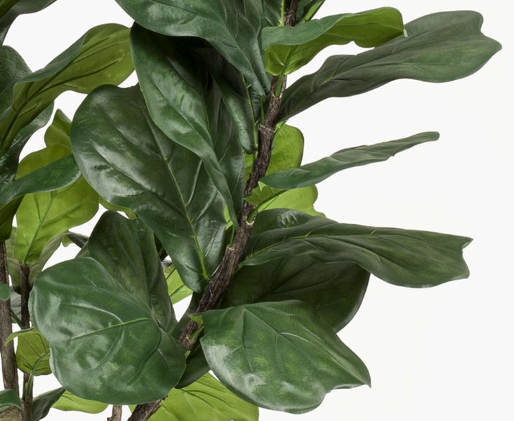 Kunstbaum Ficus Lyrata ENRIKO, Kunststamm, grün, 180cm - Deko Ficus Baum - Zier Baum Ficus