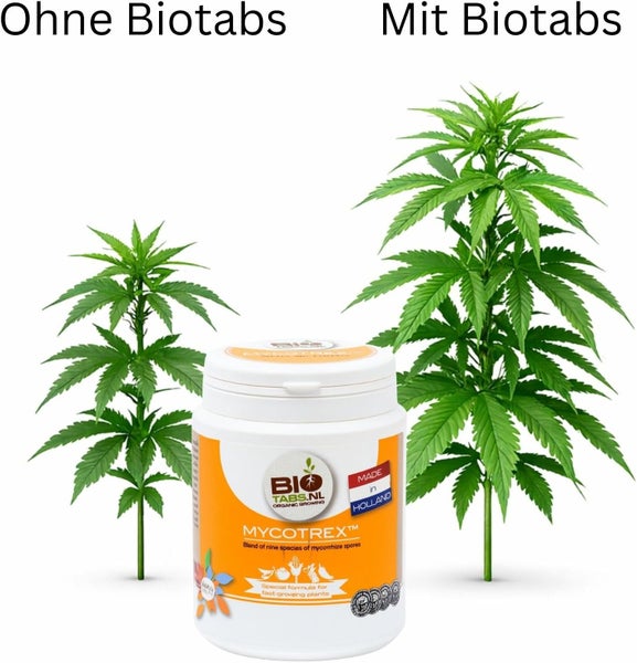 BioTabs Mycotrex Mykorrhiza-Sporen Mischung in einer Dose vor einem Wachstumsvergleich einer Pflanze ohne und mit BioTabs.
