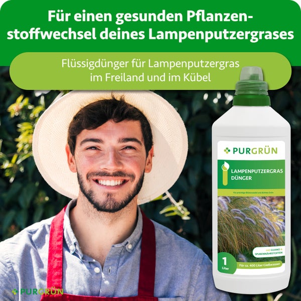 Purgrün Lampenputzergras Dünger Flüssigdünger für gesunden Pflanzenstoffwechsel im Freiland und Kübel, 1 Liter Flasche, Gärtner, Purgrün Logo.