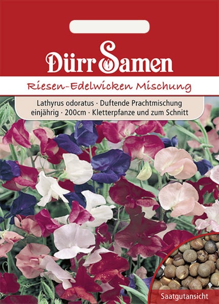 Samentüte Dürr Samen Riesen-Edelwicken Mischung, einjährige Kletterpflanze bis 200 Zentimeter, duftende Blüten in verschiedenen Farben.