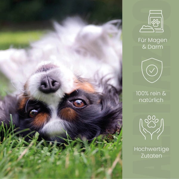 alphazoo Pupsbremse Futteröl für Hunde 250 ml