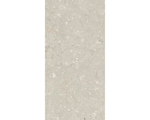 Wand- und Bodenfliese Shellstone beige 30x60cm