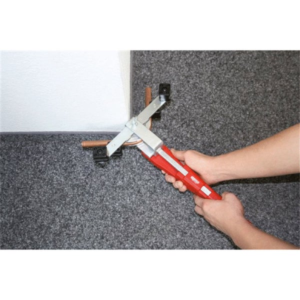 Immergrüne Scheinbeere mit roten Beeren und grünen Blättern