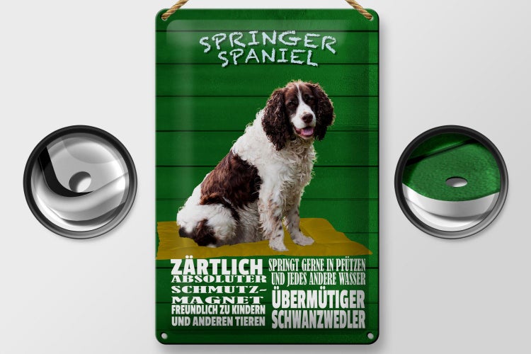 Blechschild Spruch 20x30cm Springer Spaniel Hund zärtlich