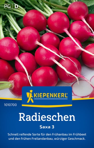 Kiepenkerl Radieschen Saxa 3 Saatgut für die Anzucht im Frühbeet und Freiland