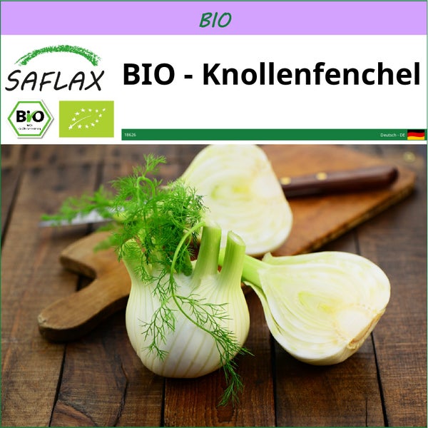 SAFLAX  - BIO - Knollenfenchel - Foeniculum vulgare var. azoricum - 100 Samen