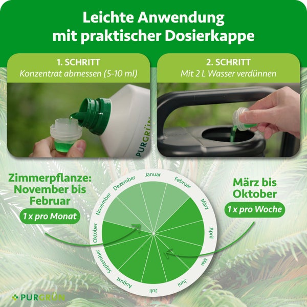Purgrün Flüssigdünger für Palmfarn, ein Liter Flasche, präsentiert von einem Gärtner für gesunden Pflanzenstoffwechsel im Innen- und Außenbereich.