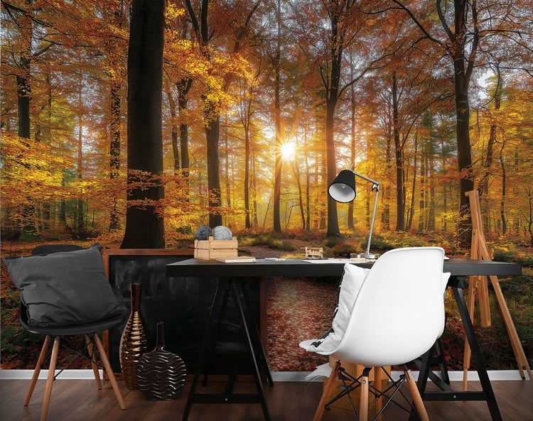 Fototapete mit Waldmotiv für eine helle und einladende Raumatmosphäre