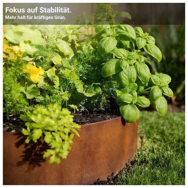 Rundes Beet aus Corten-Stahl bepflanzt mit Basilikum und Kräutern auf Rasen. Fokus auf Stabilität und Halt für kräftige Pflanzen.