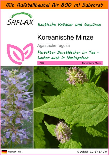 SAFLAX Garden in the bag - Koreanische Minze - Agastache rugosa - 1200 Samen - Mit Anzuchtsubstrat im praktischen, selbst aufstellenden Beutel